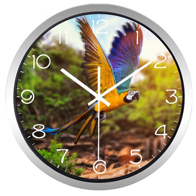 Runde Wanduhr mit Papagei Fotodruck