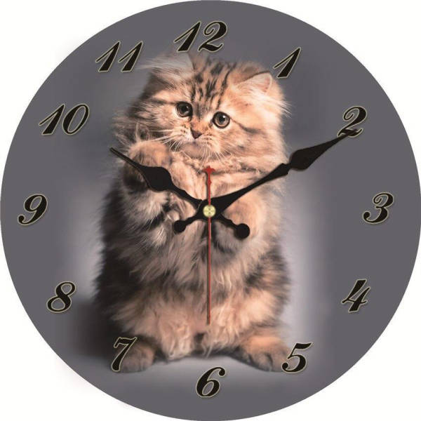 Süße Wanduhr mit niedlichem Katzen-Foto